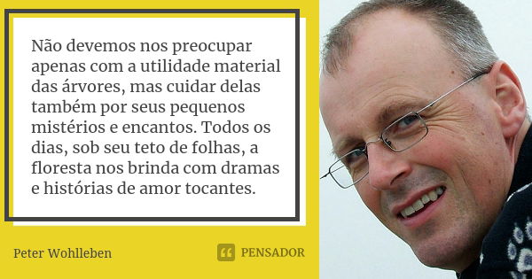 Não devemos nos preocupar apenas com a utilidade material das árvores, mas cuidar delas também por seus pequenos mistérios e encantos. Todos os dias, sob seu te... Frase de Peter Wohlleben.