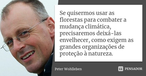 Se quisermos usar as florestas para combater a mudança climática, precisaremos deixá-las envelhecer, como exigem as grandes organizações de proteção à natureza.... Frase de Peter Wohlleben.
