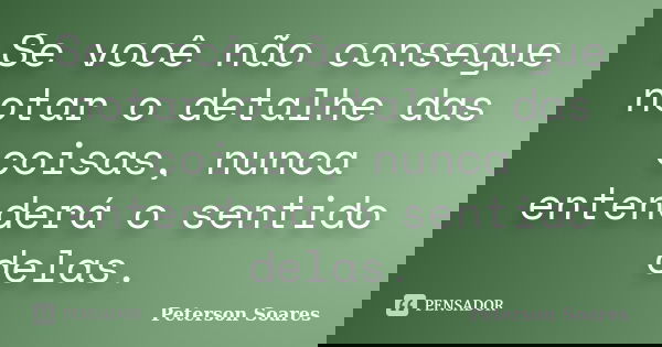 Se você não consegue notar o detalhe das coisas, nunca entenderá o sentido delas.... Frase de Peterson Soares.