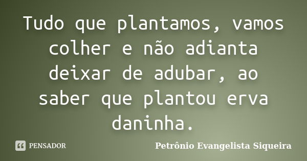 Tudo que plantamos, vamos colher e não adianta deixar de adubar, ao saber que plantou erva daninha.... Frase de Petrônio Evangelista Siqueira.