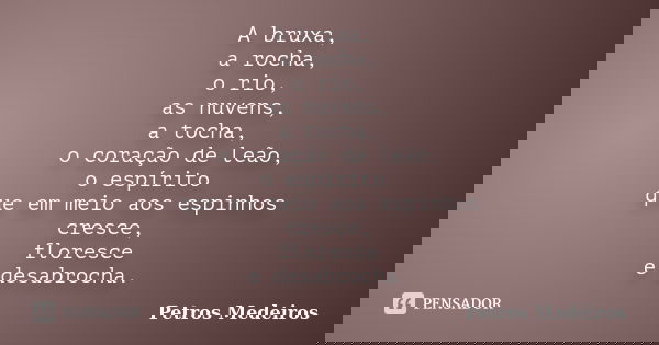 A bruxa, a rocha, o rio, as nuvens, a tocha, o coração de leão, o espírito que em meio aos espinhos cresce, floresce e desabrocha.... Frase de Petros Medeiros.