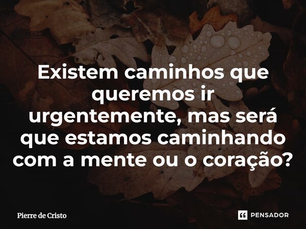 ⁠Existem caminhos que queremos ir urgentemente, mas será que estamos caminhando com a mente ou o coração?... Frase de Pierre de Cristo.