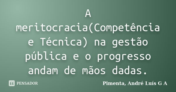 A meritocracia(Competência e Técnica) na gestão pública e o progresso andam de mãos dadas.... Frase de Pimenta, André Luís G A.