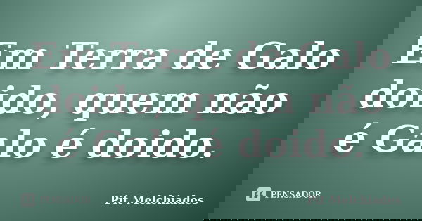 Em Terra de Galo doido, quem não é Galo é doido.... Frase de Pit Melchiades.