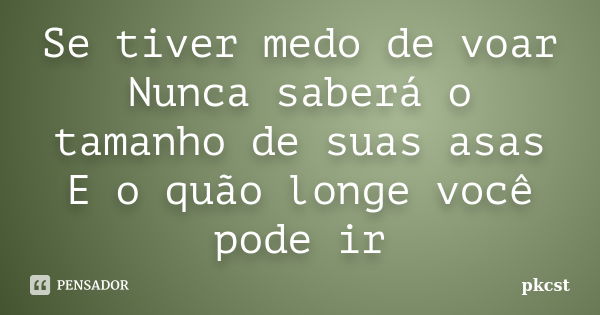 Se tiver medo de voar Nunca saberá o tamanho de suas asas E o quão longe você pode ir... Frase de pkcst.