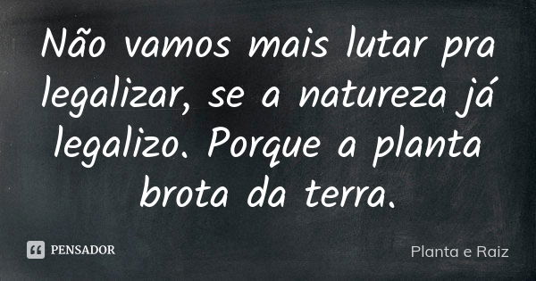 Não vamos mais lutar pra legalizar, se a natureza já legalizo. Porque a planta brota da terra.... Frase de Planta e Raiz.