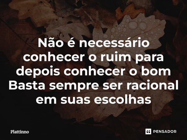 ⁠Não é necessário conhecer o ruim para depois conhecer o bom Basta sempre ser racional em suas escolhas... Frase de Plattinno.