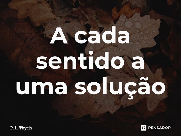 ⁠A cada sentido a uma solução... Frase de P. L. Thycia.