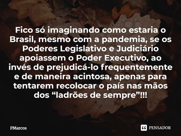⁠Fico só imaginando como estaria o Brasil, mesmo com a pandemia, se os Poderes Legislativo e Judiciário apoiassem o Poder Executivo, ao invés de prejudicá-lo fr... Frase de PMarcos.