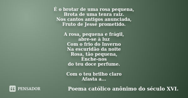 É o brotar de uma rosa pequena, Brota de uma tenra raiz. Nos cantos antigos anunciada, Fruto de Jessé prometido. A rosa, pequena e frágil, abre-se à luz Com o f... Frase de Poema católico anônimo do século XVI..