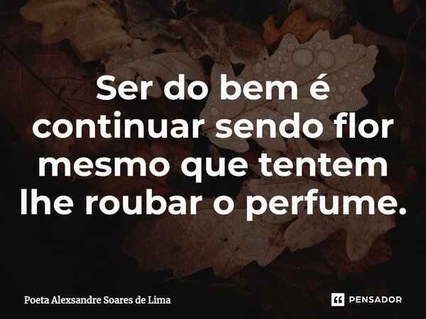 ⁠Ser do bem é continuar sendo flor mesmo que tentem lhe roubar o perfume.... Frase de Poeta Alexsandre Soares de Lima.