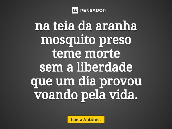 ⁠na teia da aranha mosquito preso teme morte sem a liberdade que um dia provou voando pela vida.... Frase de Poeta Antunes.