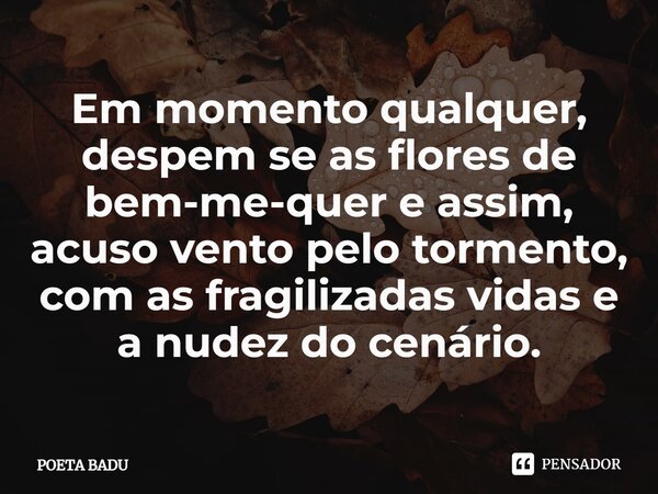 ⁠Em momento qualquer, despem se as flores de bem-me-quer e assim, acuso vento pelo tormento, com as fragilizadas vidas e a nudez do cenário.... Frase de POETA BADU.