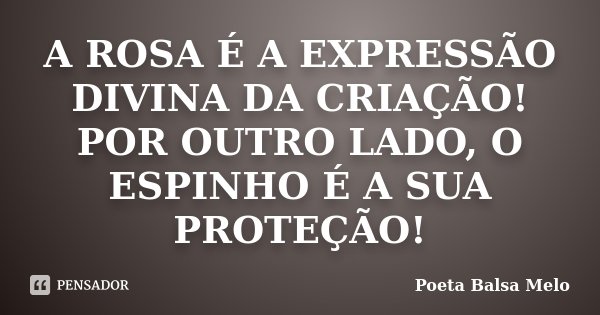 A ROSA É A EXPRESSÃO DIVINA DA CRIAÇÃO! POR OUTRO LADO, O ESPINHO É A SUA PROTEÇÃO!... Frase de Poeta Balsa Melo.