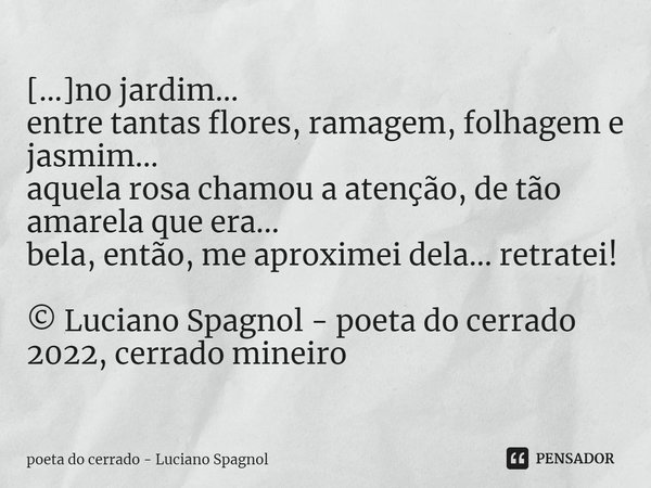 ⁠[…]no jardim... entre tantas flores, ramagem, folhagem e jasmim... aquela rosa chamou a atenção, de tão amarela que era... bela, então, me aproximei dela... re... Frase de poeta do cerrado - Luciano Spagnol.