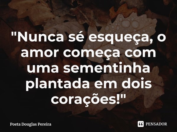 ⁠"Nunca sé esqueça, o amor começa com uma sementinha plantada em dois corações!"... Frase de Poeta Douglas Pereira.