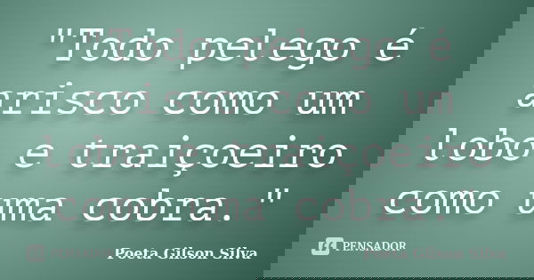 "Todo pelego é arisco como um lobo e traiçoeiro como uma cobra."... Frase de Poeta Gilson Silva.