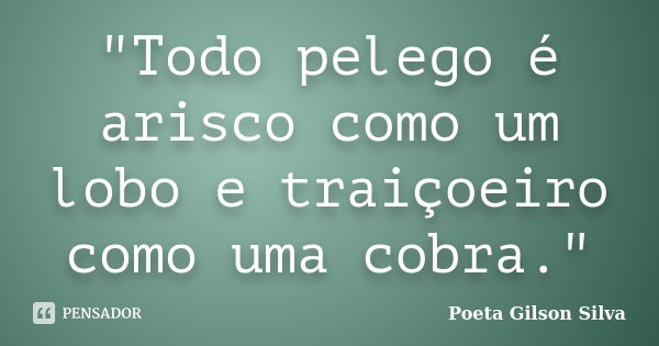 "Todo pelego é arisco como um lobo e traiçoeiro como uma cobra."... Frase de Poeta Gilson Silva.