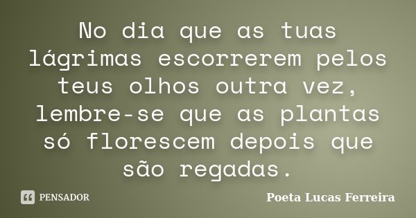 No dia que as tuas lágrimas escorrerem pelos teus olhos outra vez, lembre-se que as plantas só florescem depois que são regadas.... Frase de Poeta Lucas Ferreira.