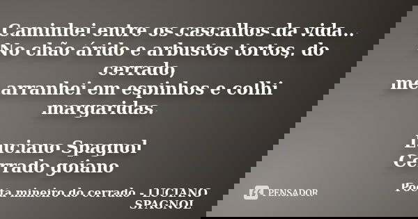 Caminhei entre os cascalhos da vida... No chão árido e arbustos tortos, do cerrado, me arranhei em espinhos e colhi margaridas. Luciano Spagnol Cerrado goiano... Frase de Poeta mineiro do cerrado - LUCIANO SPAGNOL.