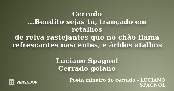 Cerrado ...Bendito sejas tu, trançado em retalhos de relva rastejantes que no chão flama refrescantes nascentes, e áridos atalhos Luciano Spagnol Cerrado goiano... Frase de Poeta mineiro do cerrado - LUCIANO SPAGNOL.