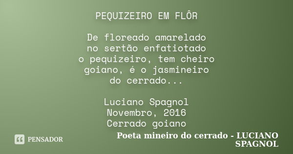 PEQUIZEIRO EM FLÔR De floreado amarelado no sertão enfatiotado o pequizeiro, tem cheiro goiano, é o jasmineiro do cerrado... Luciano Spagnol Novembro, 2016 Cerr... Frase de Poeta mineiro do cerrado - LUCIANO SPAGNOL.