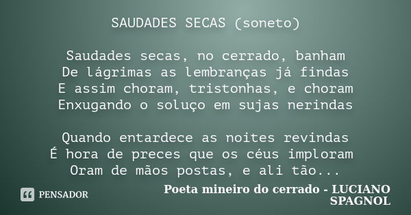 SAUDADES SECAS (soneto) Saudades secas, no cerrado, banham De lágrimas as lembranças já findas E assim choram, tristonhas, e choram Enxugando o soluço em sujas ... Frase de Poeta mineiro do cerrado - LUCIANO SPAGNOL.