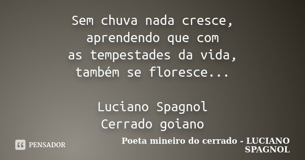 Sem chuva nada cresce, aprendendo que com as tempestades da vida, também se floresce... Luciano Spagnol Cerrado goiano... Frase de Poeta mineiro do cerrado - LUCIANO SPAGNOL.