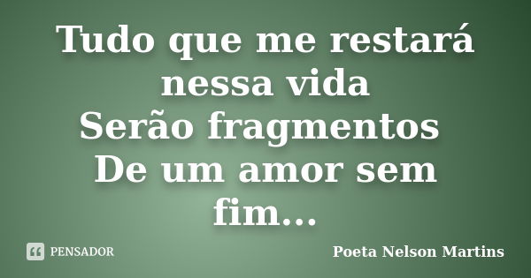 Tudo que me restará nessa vida Serão fragmentos De um amor sem fim...... Frase de Poeta Nelson Martins.