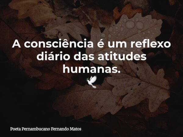 A consciência é um reflexo diário das atitudes humanas. 🕊... Frase de Poeta Pernambucano Fernando Matos.