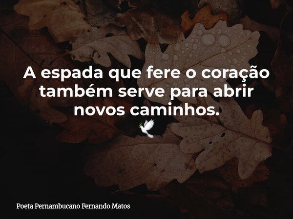 A espada que fere o coração também serve para abrir novos caminhos. 🕊... Frase de Poeta Pernambucano Fernando Matos.