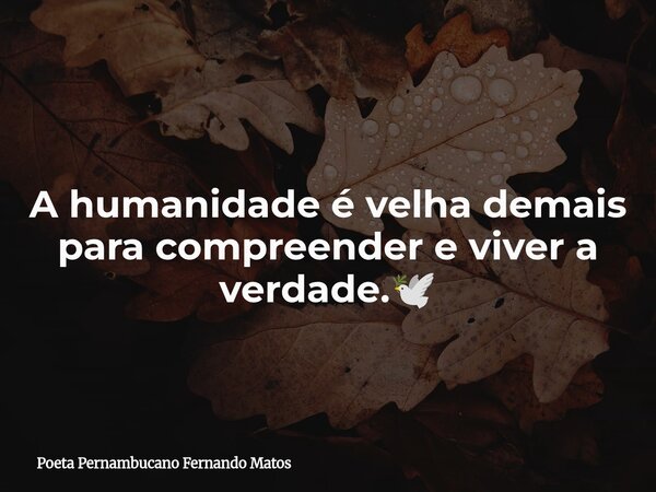 A humanidade é velha demais para compreender e viver a verdade.🕊... Frase de Poeta Pernambucano Fernando Matos.