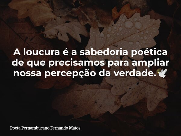 A loucura é a sabedoria poética de que precisamos para ampliar nossa percepção da verdade.🕊... Frase de Poeta Pernambucano Fernando Matos.