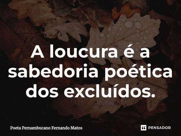 ⁠A loucura é a sabedoria poética dos excluídos.... Frase de Poeta Pernambucano Fernando Matos.