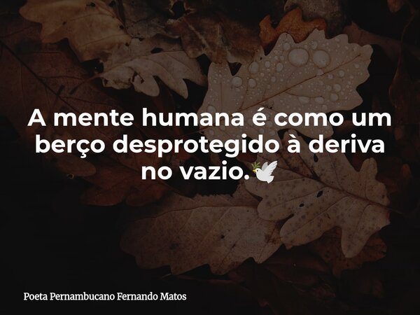 A mente humana é como um berço desprotegido à deriva no vazio.🕊... Frase de Poeta Pernambucano Fernando Matos.