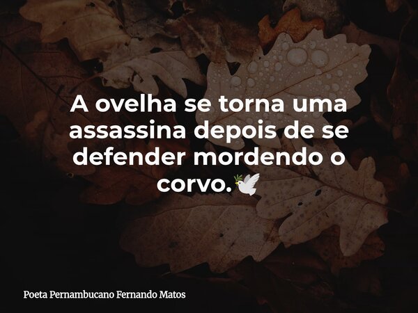 A ovelha se torna uma assassina depois de se defender mordendo o corvo.🕊... Frase de Poeta Pernambucano Fernando Matos.