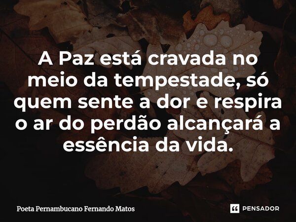 ⁠A Paz está cravada no meio da tempestade, só quem sente a dor e respira o ar do perdão alcançará a essência da vida.... Frase de Poeta Pernambucano Fernando Matos.