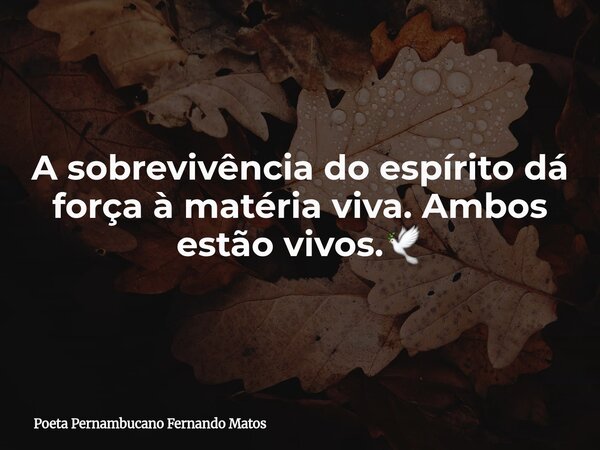 A sobrevivência do espírito dá força à matéria viva. Ambos estão vivos.🕊... Frase de Poeta Pernambucano Fernando Matos.