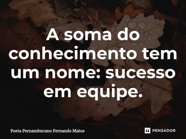 ⁠A soma do conhecimento tem um nome: sucesso em equipe.... Frase de Poeta Pernambucano Fernando Matos.