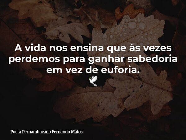 A vida nos ensina que às vezes perdemos para ganhar sabedoria em vez de euforia. 🕊... Frase de Poeta Pernambucano Fernando Matos.