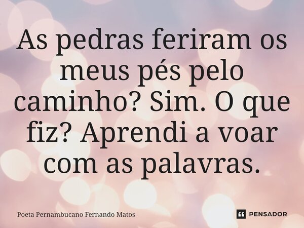 ⁠As pedras feriram os meus pés pelo caminho? Sim. O que fiz? Aprendi a voar com as palavras.... Frase de Poeta Pernambucano Fernando Matos.