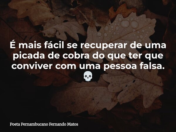 É mais fácil se recuperar de uma picada de cobra do que ter que conviver com uma pessoa falsa. 💀... Frase de Poeta Pernambucano Fernando Matos.