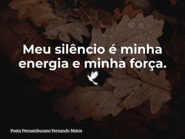 Meu silêncio é minha energia e minha força. 🕊... Frase de Poeta Pernambucano Fernando Matos.