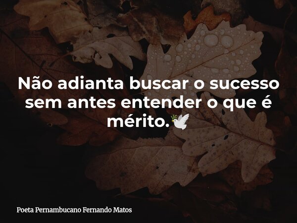 Não adianta buscar o sucesso sem antes entender o que é mérito.🕊... Frase de Poeta Pernambucano Fernando Matos.