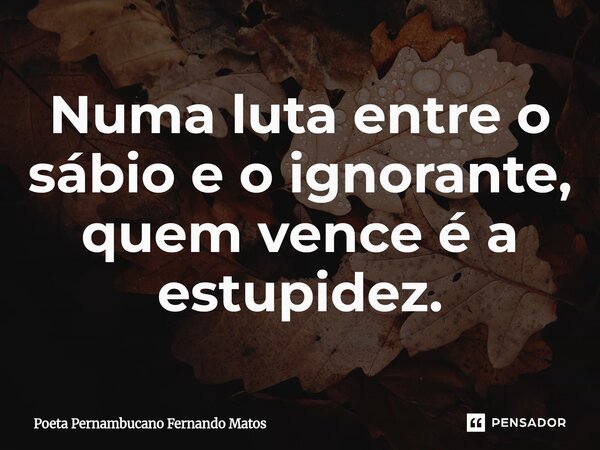 ⁠Numa luta entre o sábio e o ignorante, quem vence é a estupidez.... Frase de Poeta Pernambucano Fernando Matos.