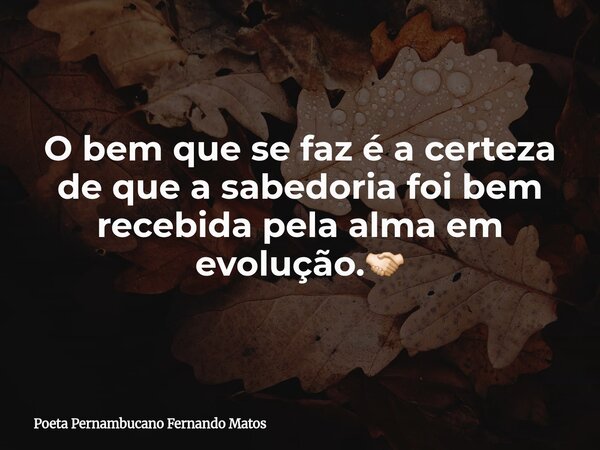 O bem que se faz é a certeza de que a sabedoria foi bem recebida pela alma em evolução.🤝🏻... Frase de Poeta Pernambucano Fernando Matos.