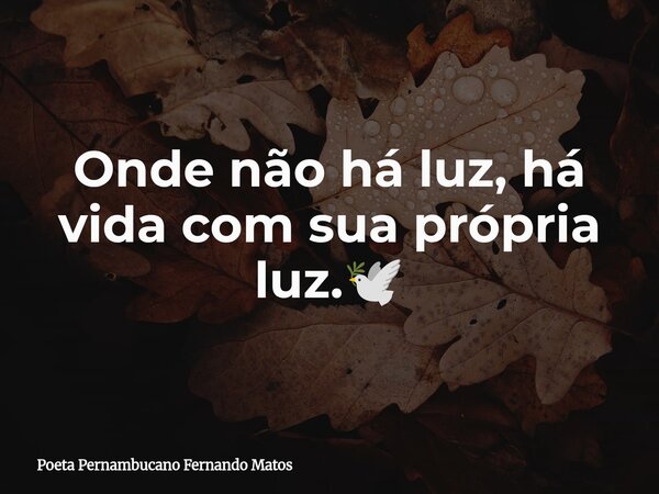 Onde não há luz, há vida com sua própria luz.🕊... Frase de Poeta Pernambucano Fernando Matos.