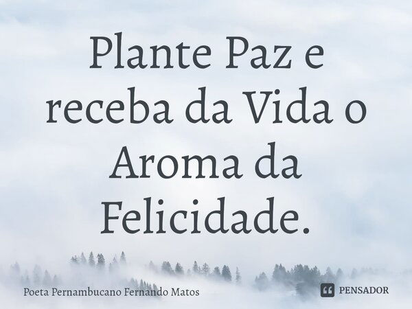 ⁠Plante Paz e receba da Vida o Aroma da Felicidade.... Frase de Poeta Pernambucano Fernando Matos.