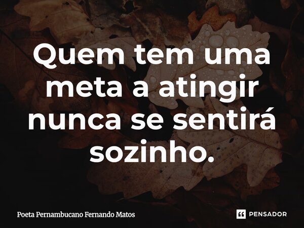 ⁠Quem tem uma meta a atingir nunca se sentirá sozinho.... Frase de Poeta Pernambucano Fernando Matos.