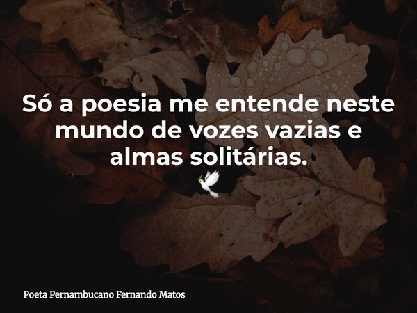 Só a poesia me entende neste mundo de vozes vazias e almas solitárias. 🕊... Frase de Poeta Pernambucano Fernando Matos.
